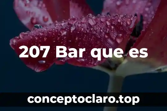207 Bar que es