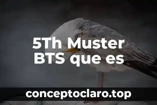 5Th Muster BTS que es