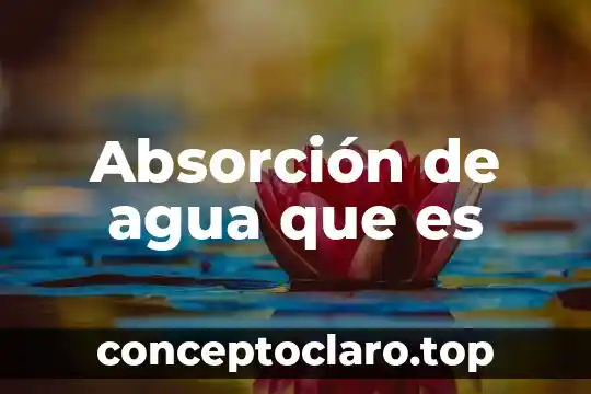 Absorción de agua que es