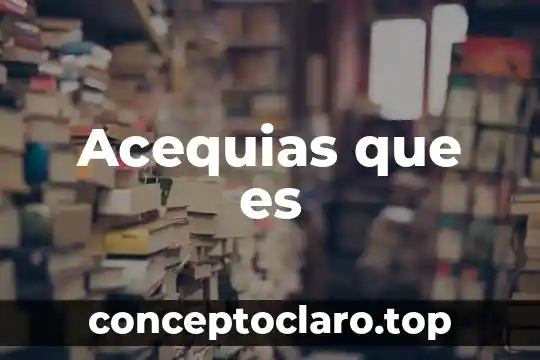 Acequias que es