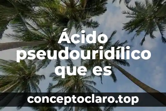 Qué es el ácido 7 Ácido pseudouridílico que es