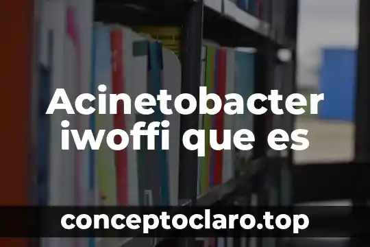 Acinetobacter iwoffi que es