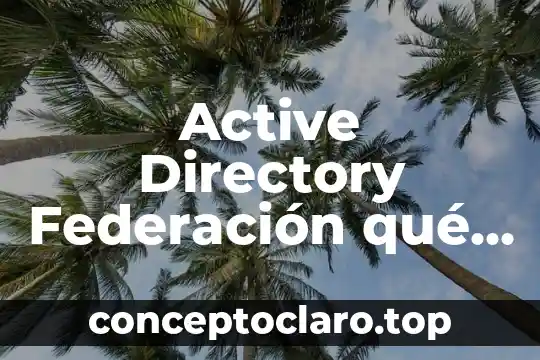 Active Directory Federación qué es