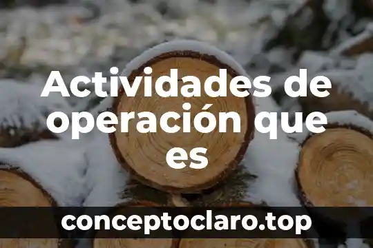 Que es el comercio y actividades terciarias 3 Actividades de operaci贸n que es