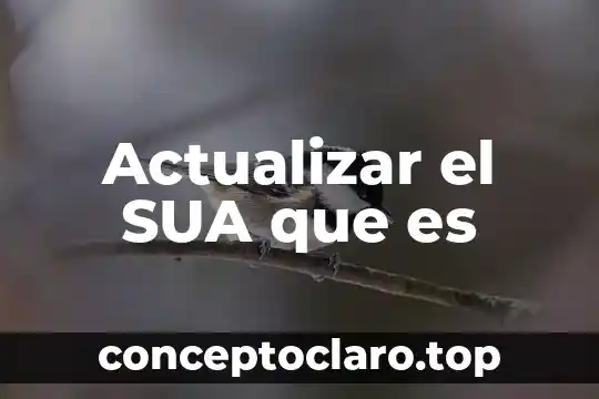 Actualizar el SUA que es