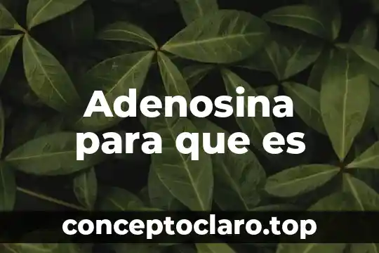 Wicca celta que es 8 Adenosina para que es