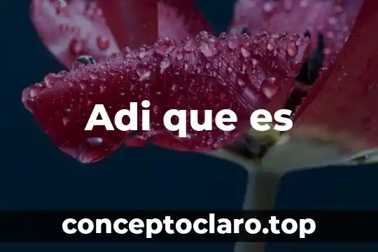 Adi que es