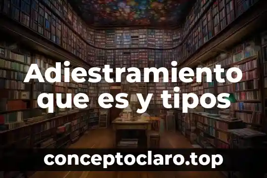 Adiestramiento que es y tipos