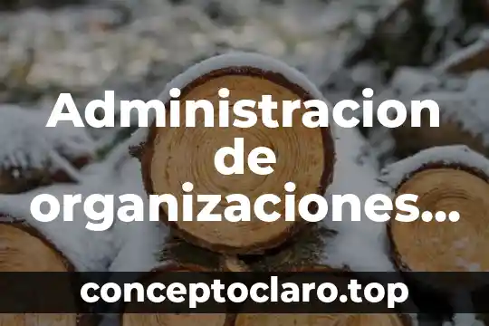 Administracion de organizaciones que es