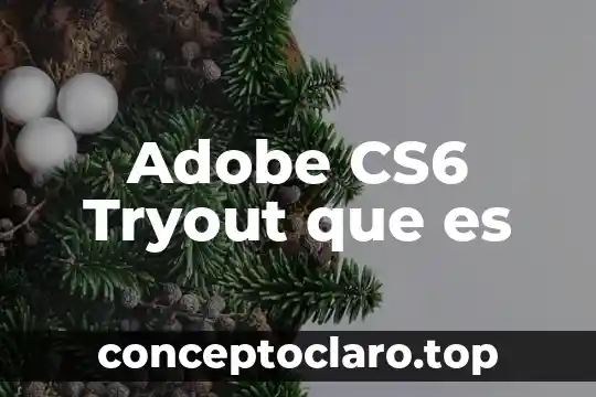 Vitrocerámica que es compuesto 3 Adobe CS6 Tryout que es