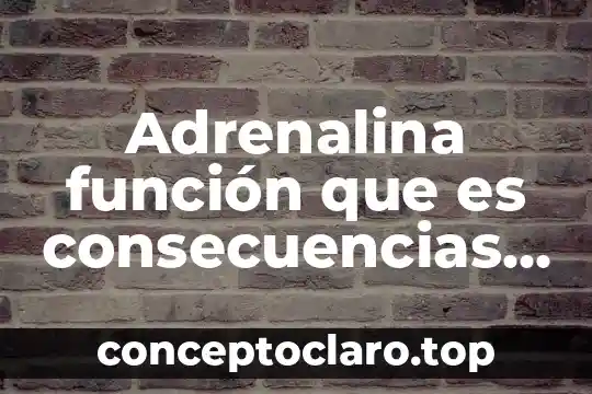 Adrenalina función que es consecuencias de su uso