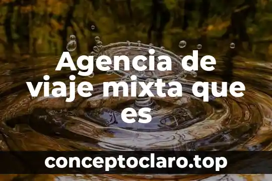 Agencia de viaje mixta que es