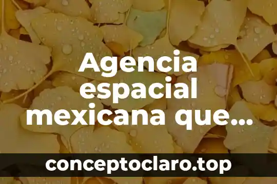 Agencia espacial mexicana que es