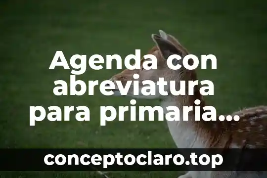 Agenda con abreviatura para primaria que es