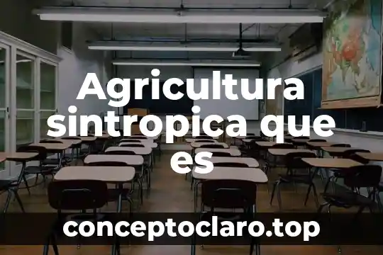 Que es la escuela nacional de agricultura 6 Agricultura sintropica que es