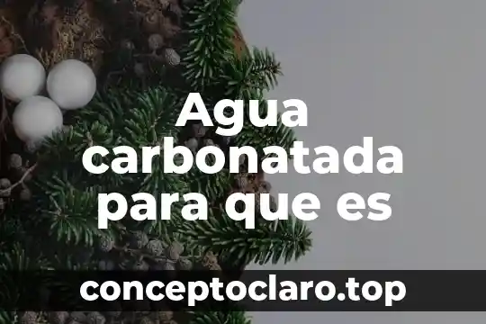 Agua carbonatada para que es