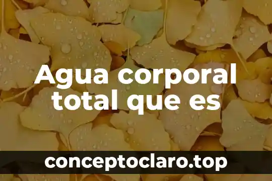 Que es el agua de vitriolo 5 Agua corporal total que es