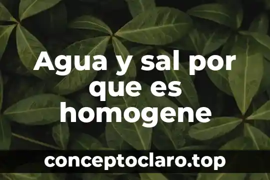 Agua y sal por que es homogene
