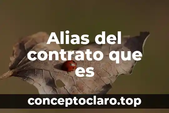Que es una contrato eventual 5 Alias del contrato que es