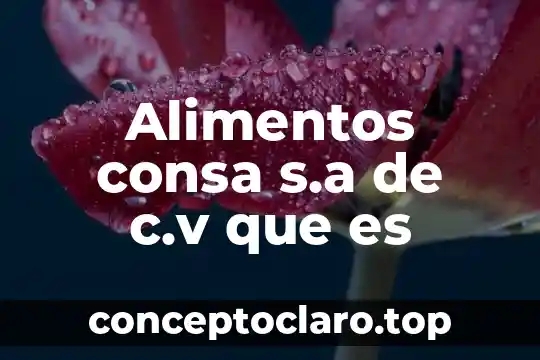 Alimentos consa s.a de c.v que es