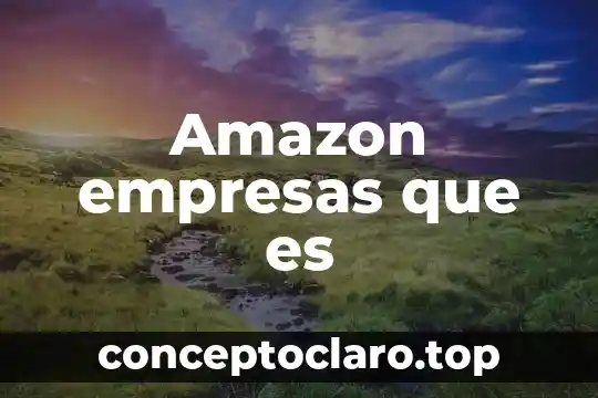 Amazon empresas que es