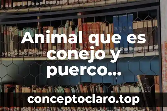 Qué es la simulación en la educación 8 Animal que es conejo y puerco animales conbinados
