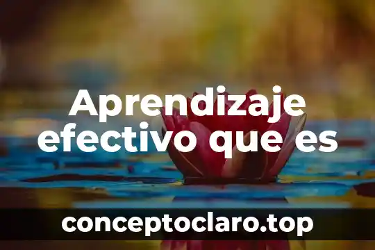 Aprendizaje efectivo que es