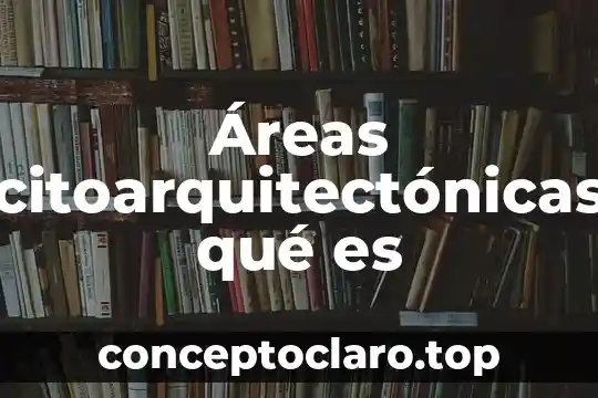 Que es examen de conocimiento por areas 7 Áreas citoarquitectónicas qué es