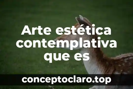 Arte estética contemplativa que es