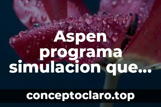 Aspen programa simulacion que es