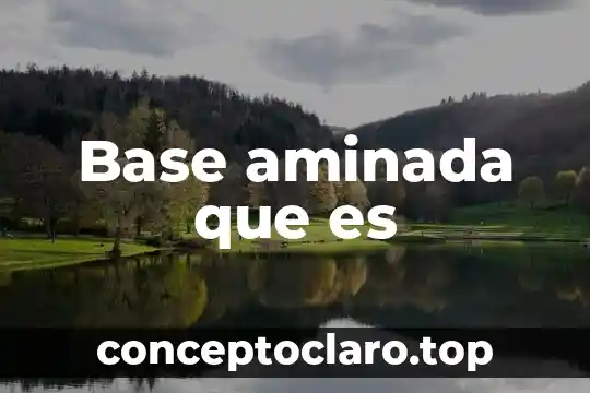 Que es un año base 7 Base aminada que es