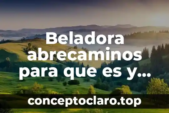 Qué es y para qué sirve el compás musical 7 Beladora abrecaminos para que es y para que sirve