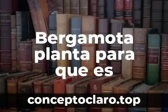 Que es la planta liston 3 Bergamota planta para que es