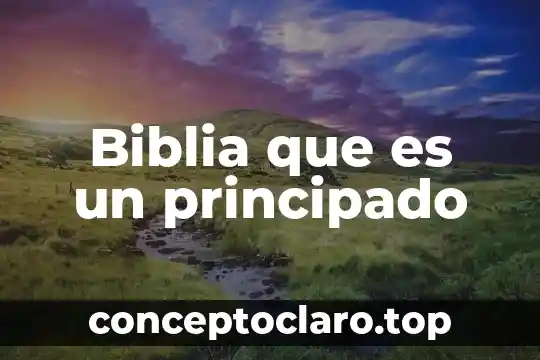 Biblia que es un principado