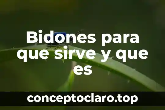 Bidones para que sirve y que es