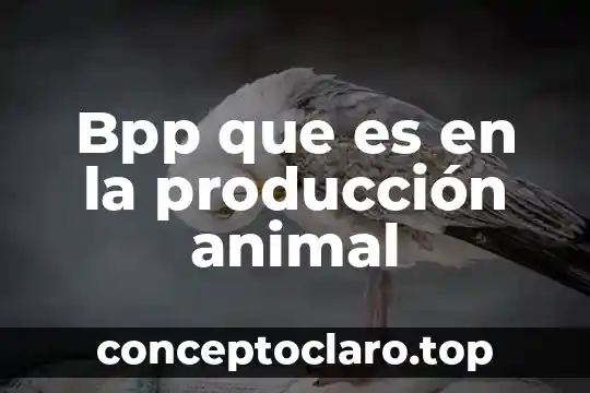 Que es axil anatomia animal 5 Bpp que es en la producción animal
