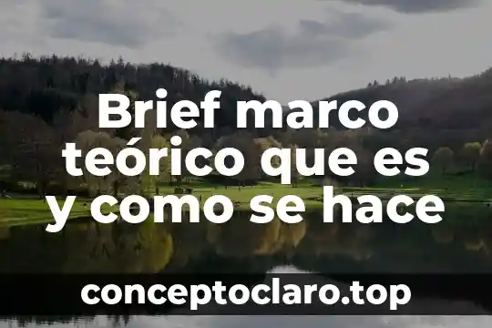 Brief marco teórico que es y como se hace
