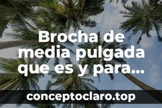 Brocha de media pulgada que es y para que sirve
