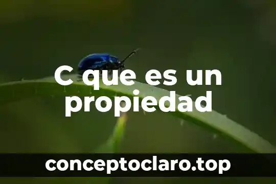 C que es un propiedad