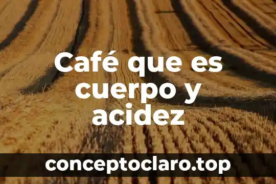 Café que es cuerpo y acidez