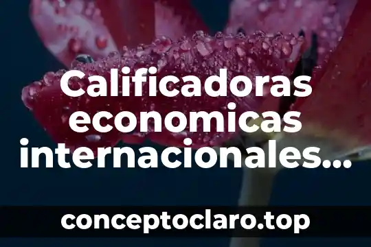 Calificadoras economicas internacionales que es
