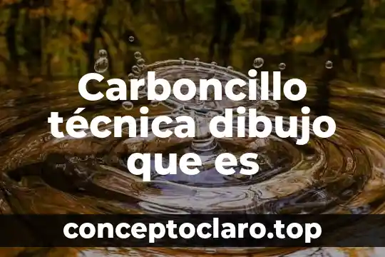 Dibujo guardado que es 4 Carboncillo técnica dibujo que es
