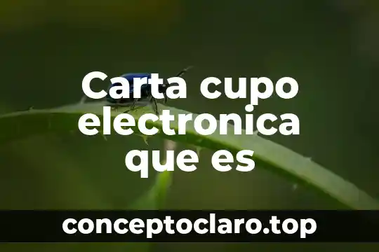 Que es una firma electronica mexico 5 Carta cupo electronica que es
