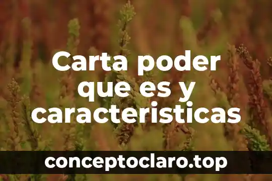 Carta poder que es y caracteristicas
