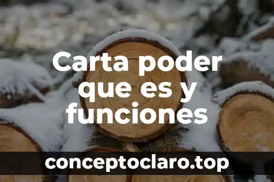 Que es un nombre de año en una carta 4 Carta poder que es y funciones
