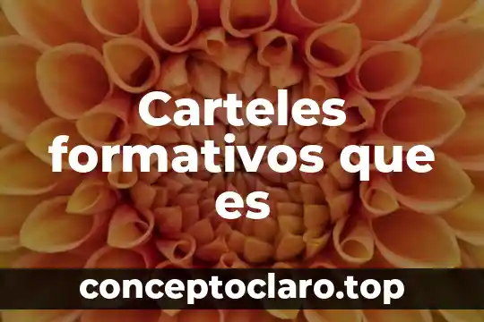 Midete nutrete y activate que es 4 Carteles formativos que es