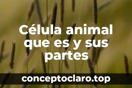Célula animal que es y sus partes