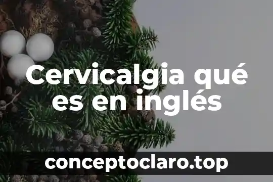 Qué es el participio pasado en inglés 8 Cervicalgia qué es en inglés