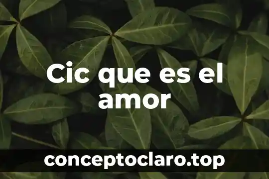 Cic que es el amor