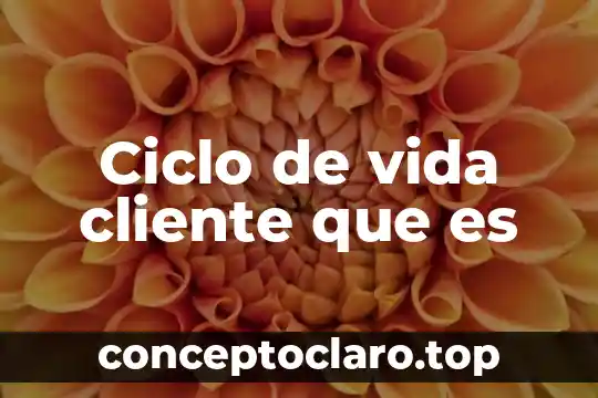 Ciclo de vida cliente que es